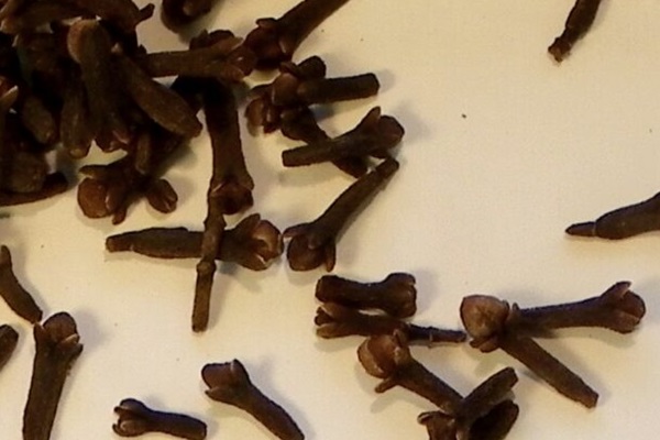 vanille bourbon nice clou de girofle