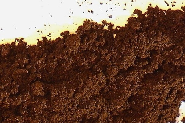 poudre de vanille nice