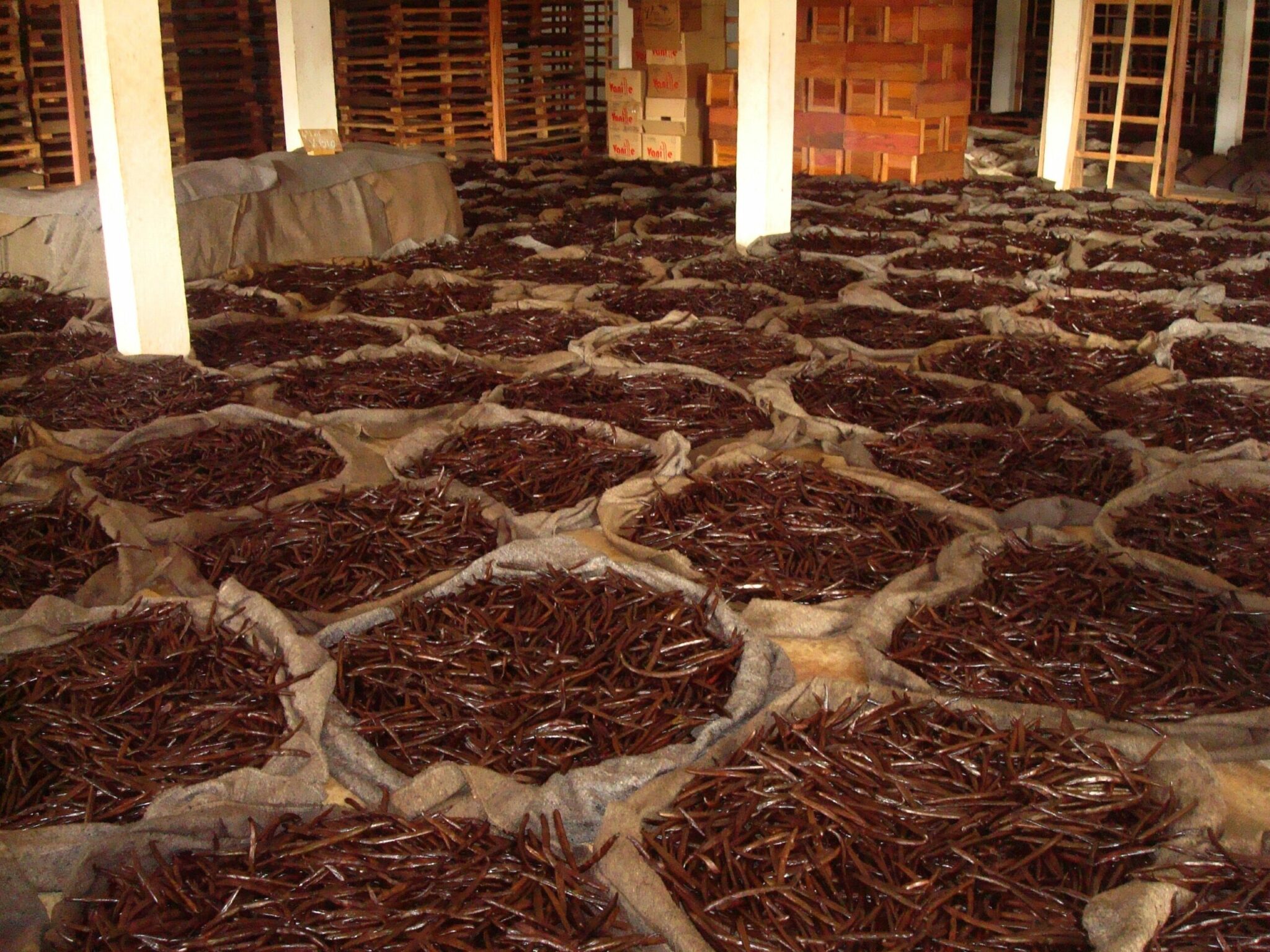 Achat gousse de vanille zoé vanille